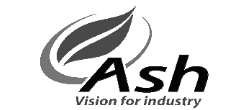 Ash inspection systems
