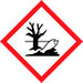 GHS09 Pericolo per l'ambiente