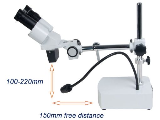 5000 - Microscopio stereoscopico binoculare (20x)