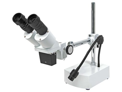 5000 - Stereomicroscopio binoculare a ingrandimento fisso (20x)