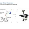 5930 - C-Mount Microscope Camera (3MP, USB)