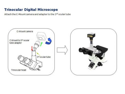 5930 - C-Mount Microscope Camera (3MP, USB)